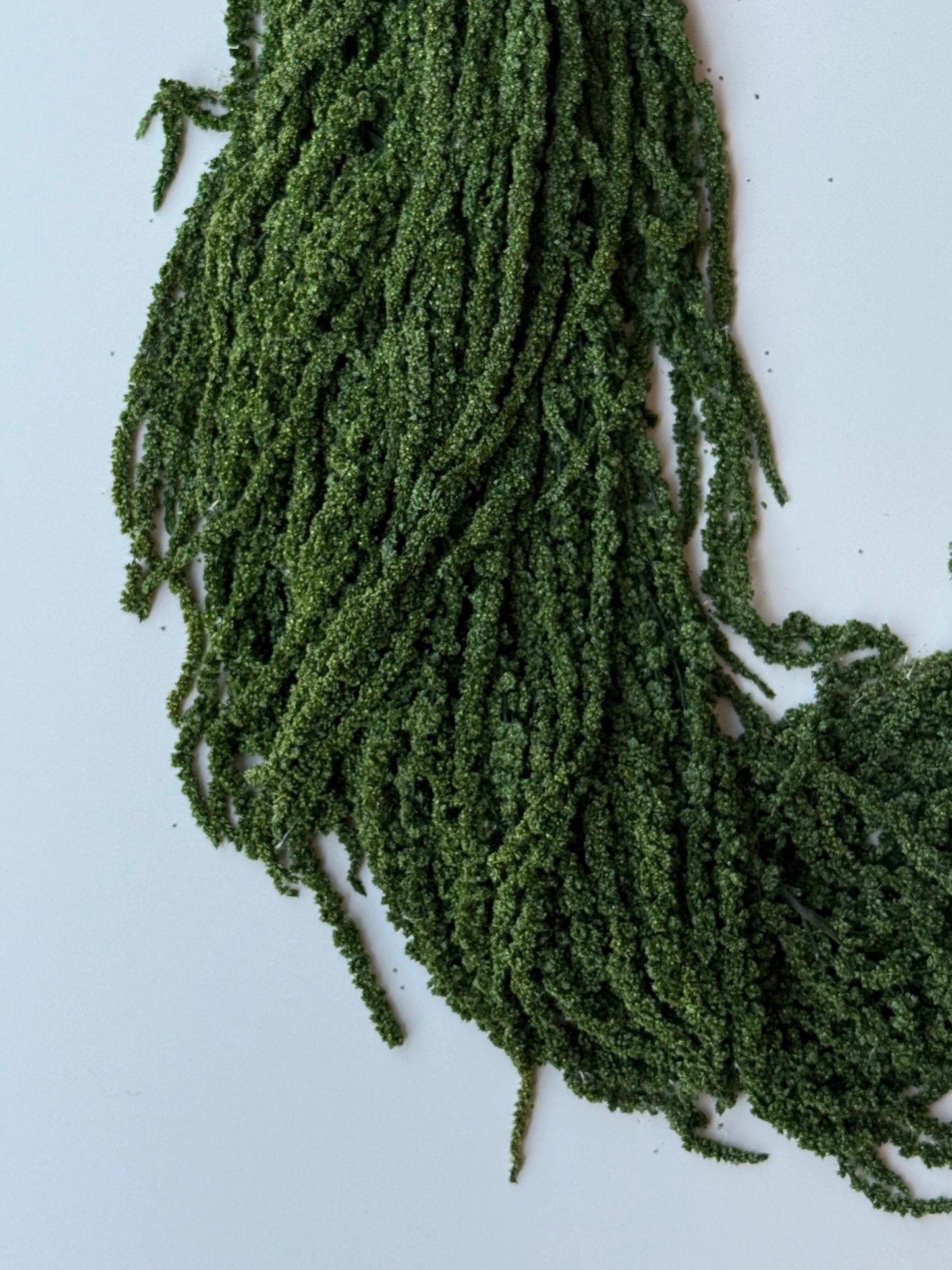 Hanging Amaranthus - Forest Green