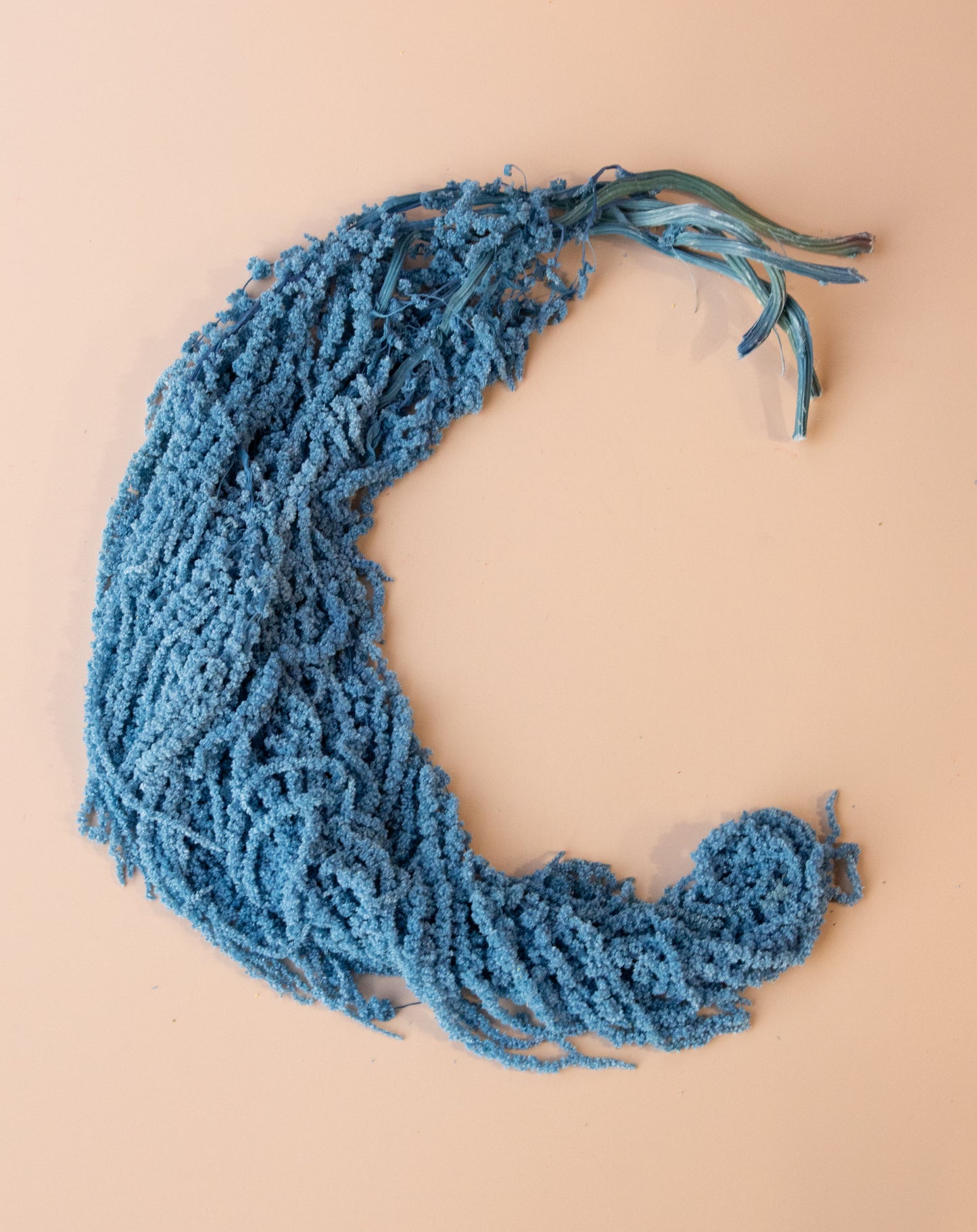 Hanging Amaranthus - Blue