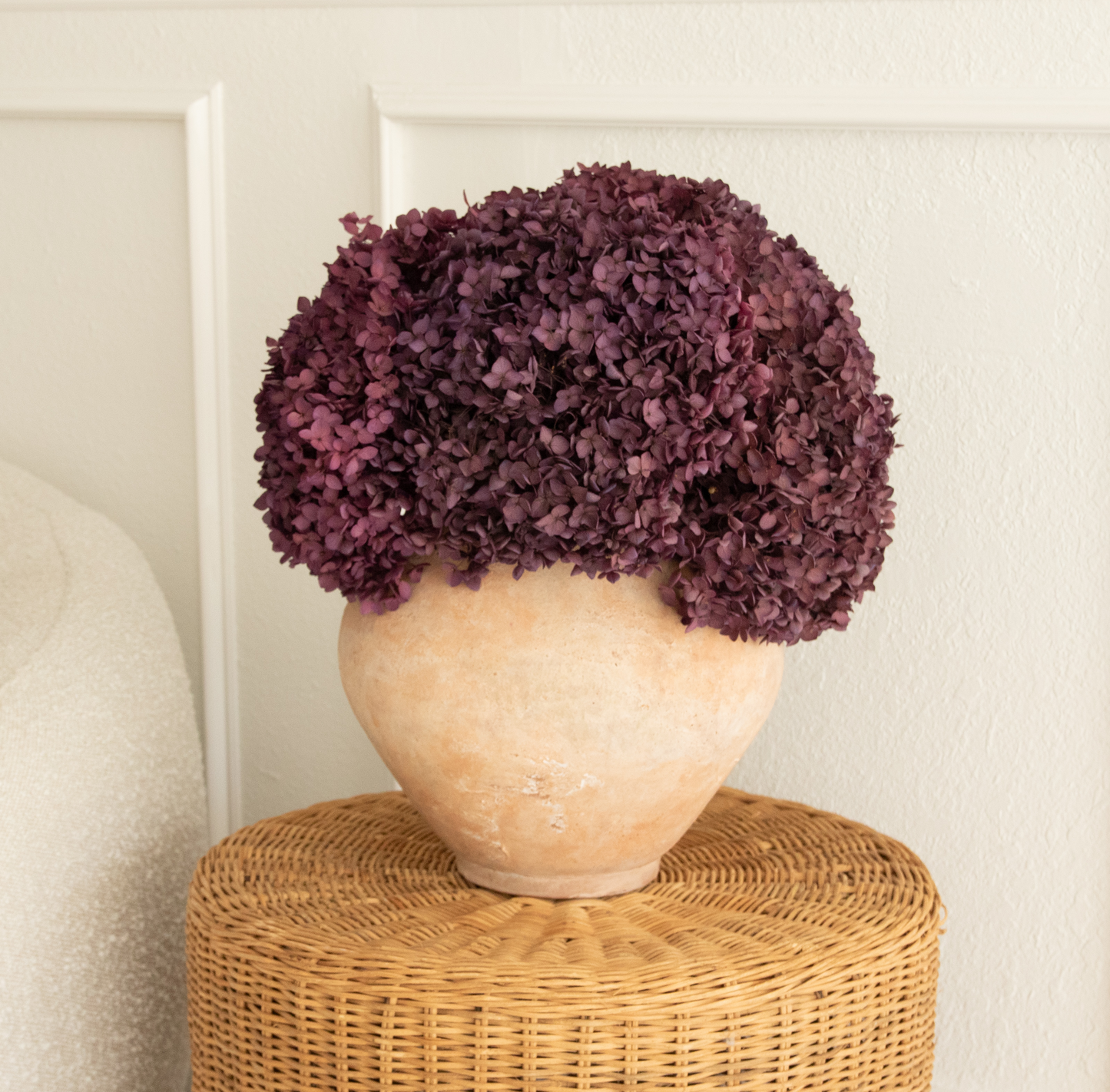 Real Hydrangea Preserved - Large Purple Plum