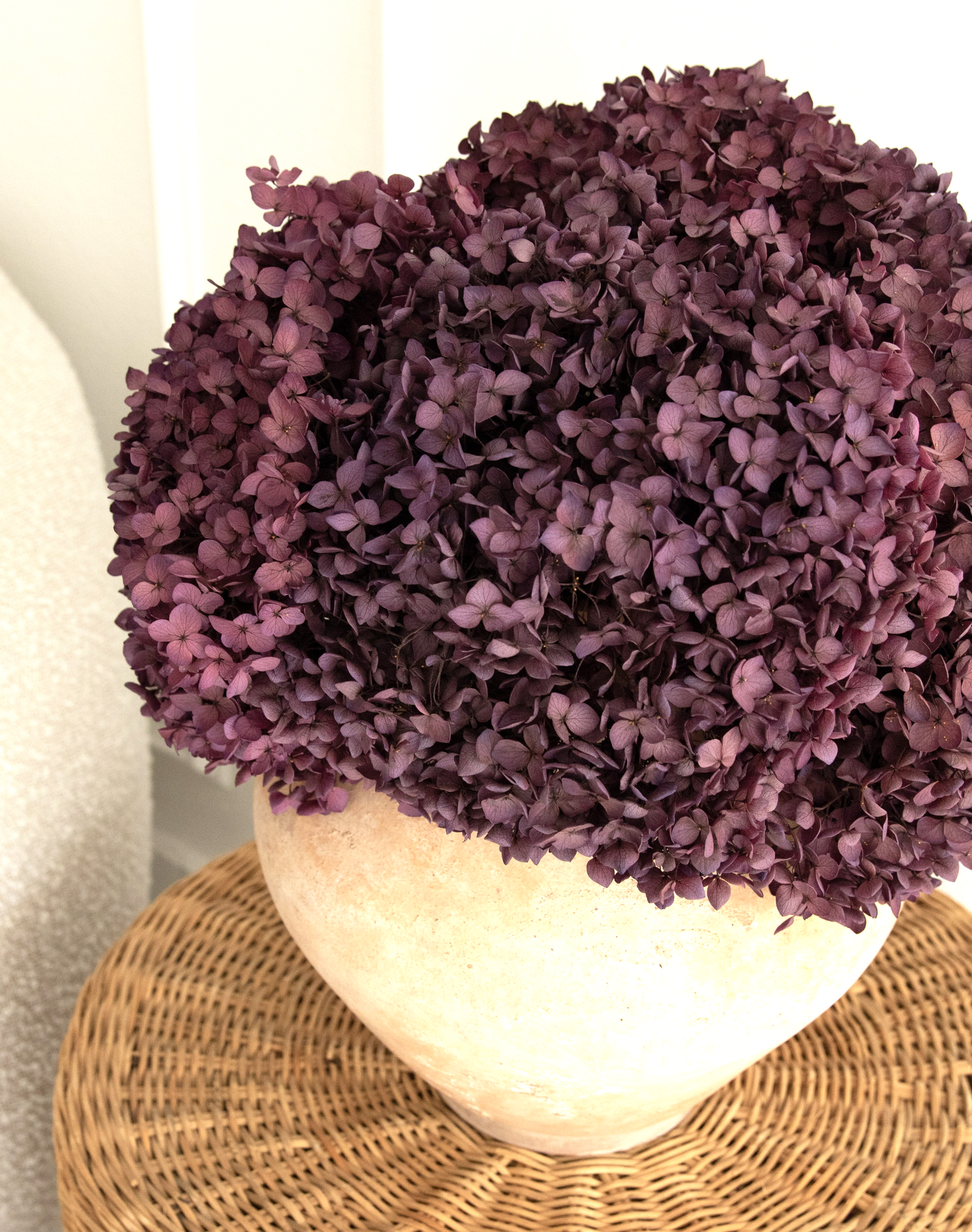 Real Hydrangea Preserved - Large Purple Plum