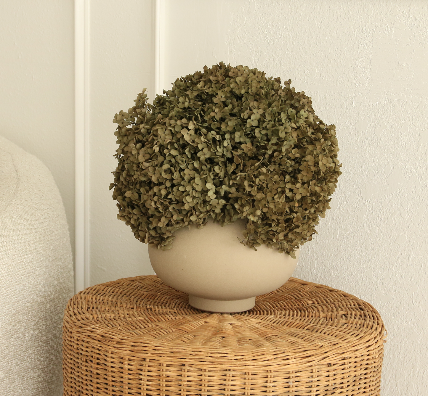Real Hydrangea Preserved - Medium Olive Green Ombré