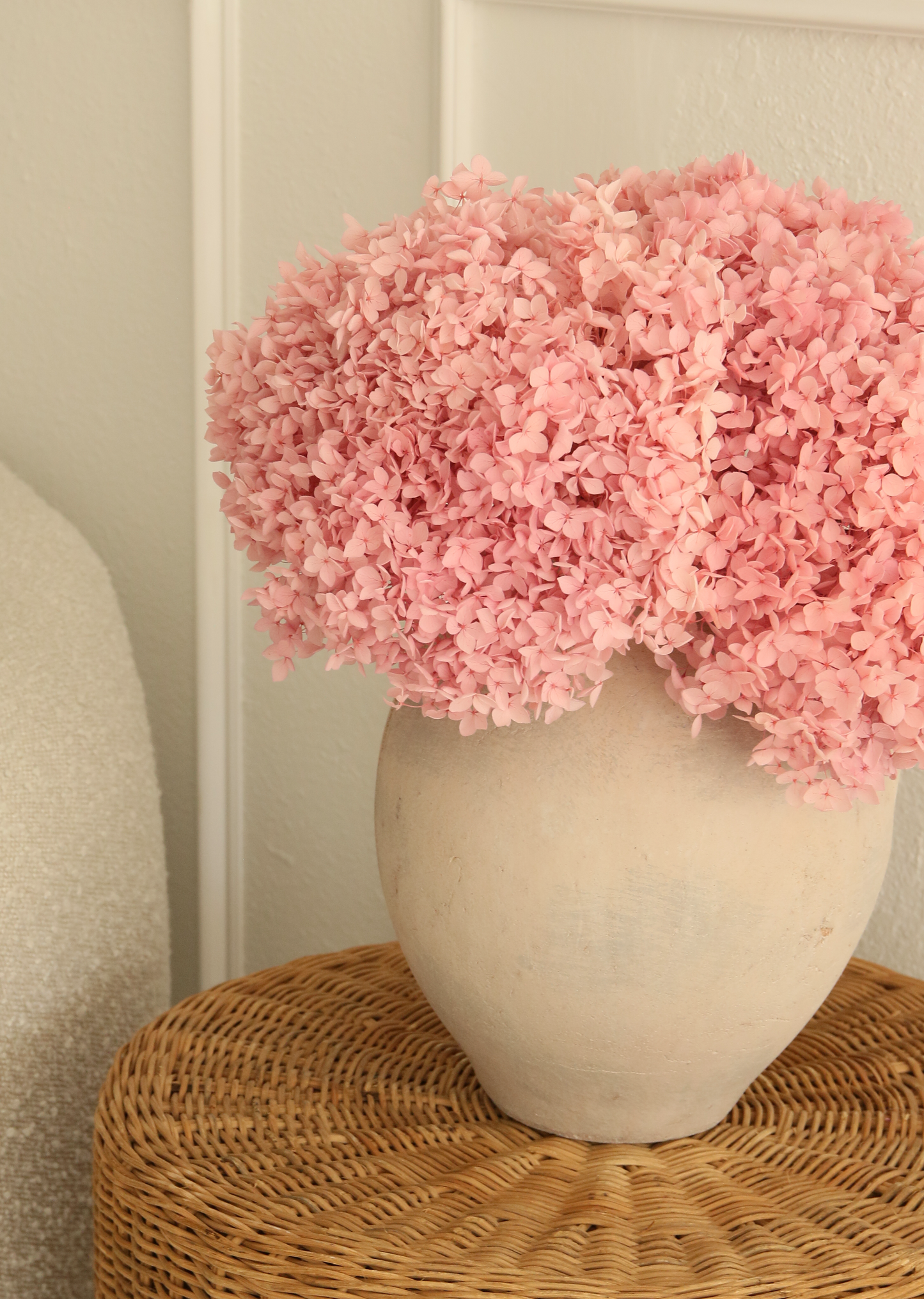 Real Hydrangea Preserved - Large Pink Lavender