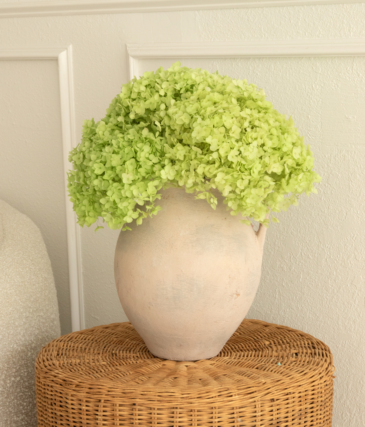 Real Hydrangea Preserved - Large Green