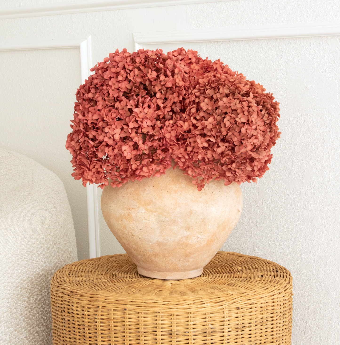Real Hydrangea Preserved - Large Rose