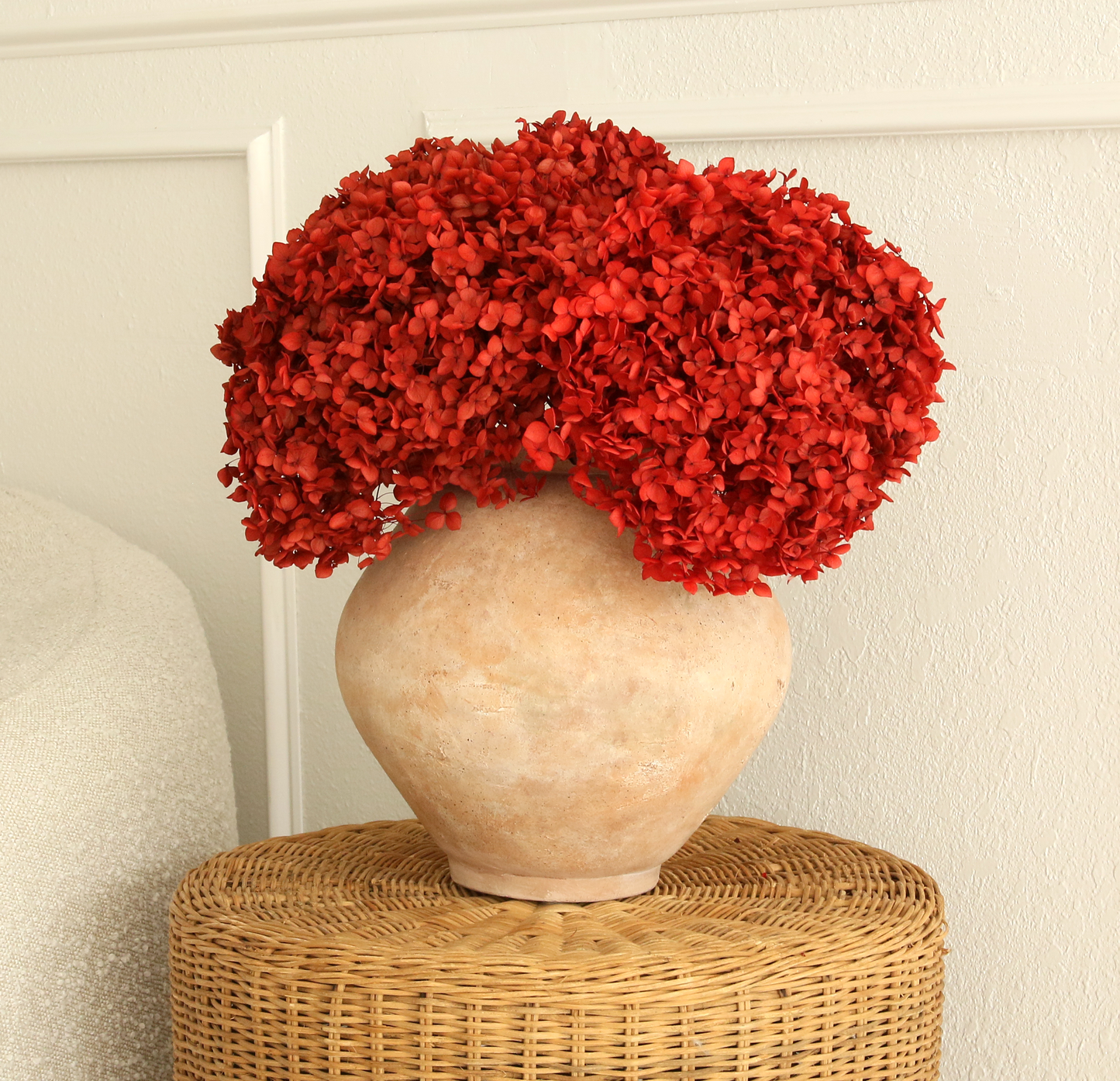 Real Hydrangea Preserved - Large Red