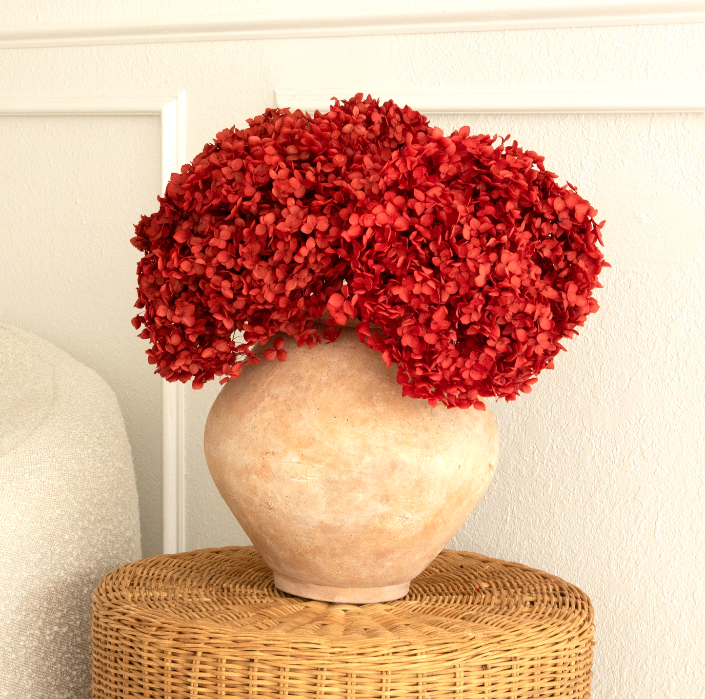 Real Hydrangea Preserved - Large Red