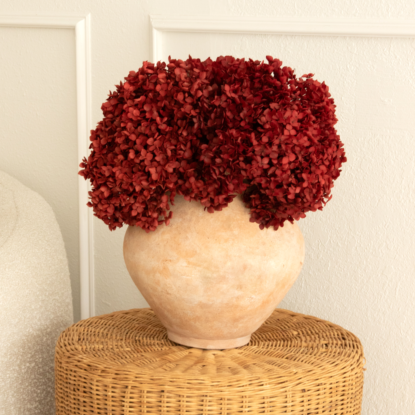 Real Hydrangea Preserved - Large Deep Red