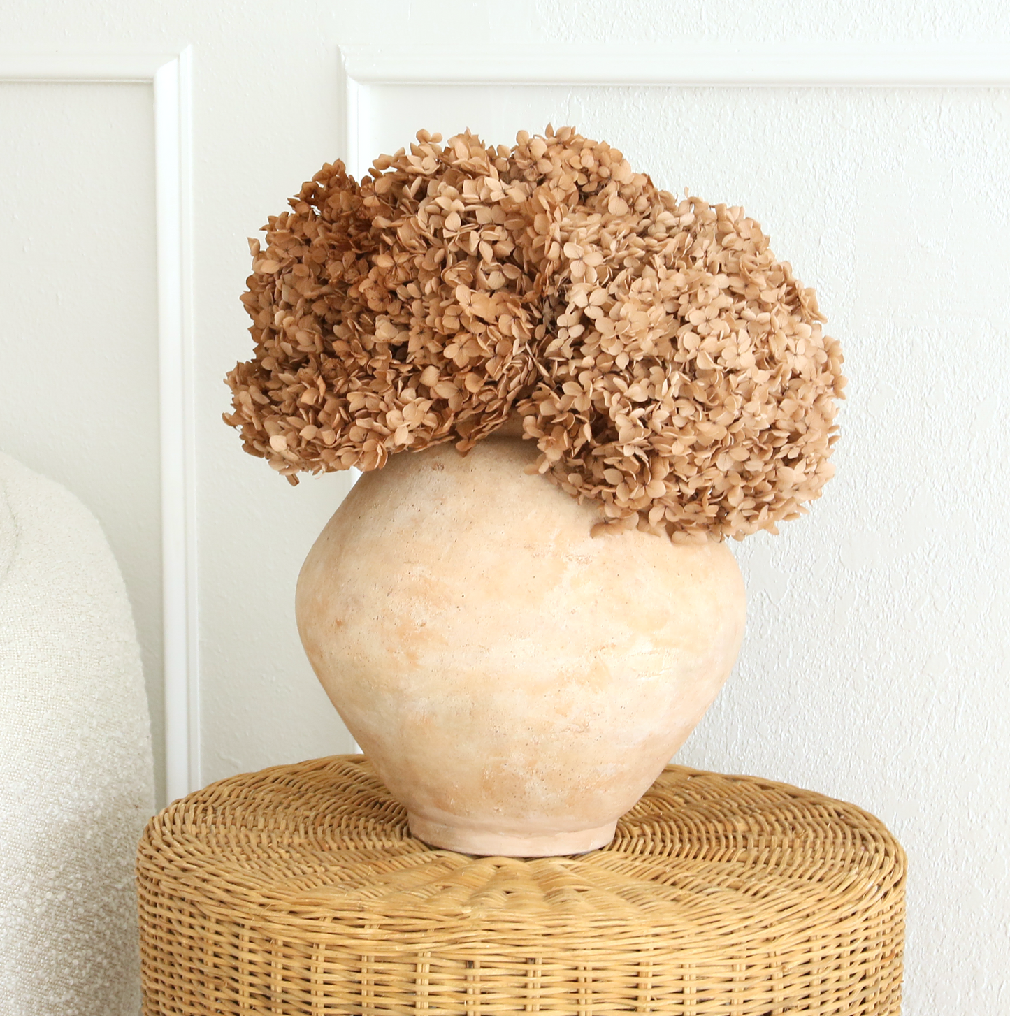Real Hydrangea Preserved - Large Desert Brown/Mauve