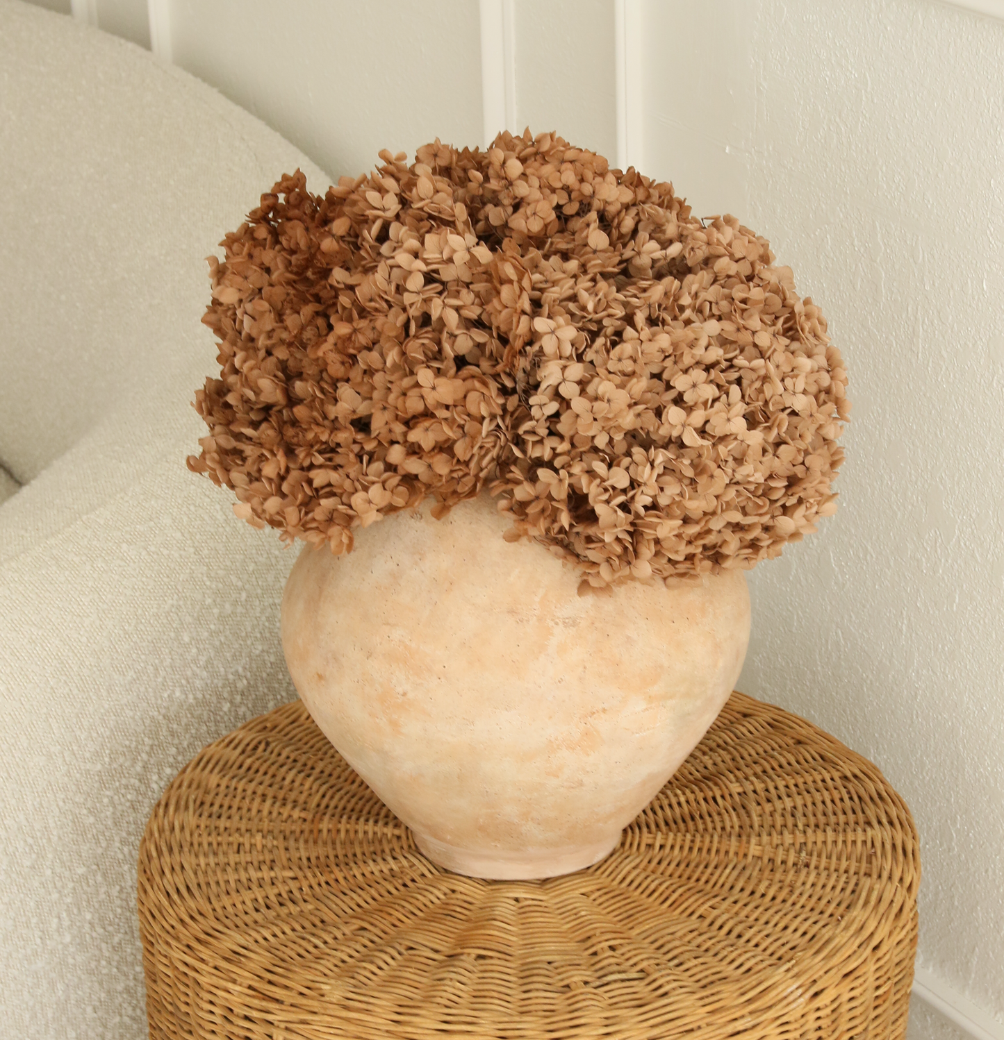 Real Hydrangea Preserved - Large Desert Brown/Mauve