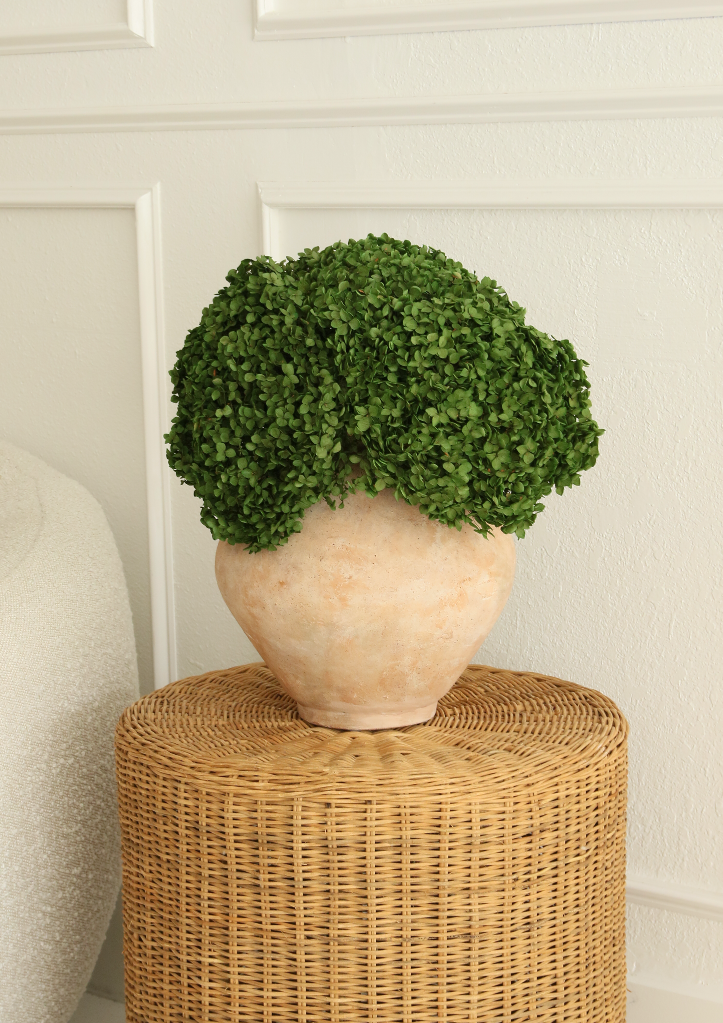 Real Hydrangea Preserved- Medium/Large Emerald Green