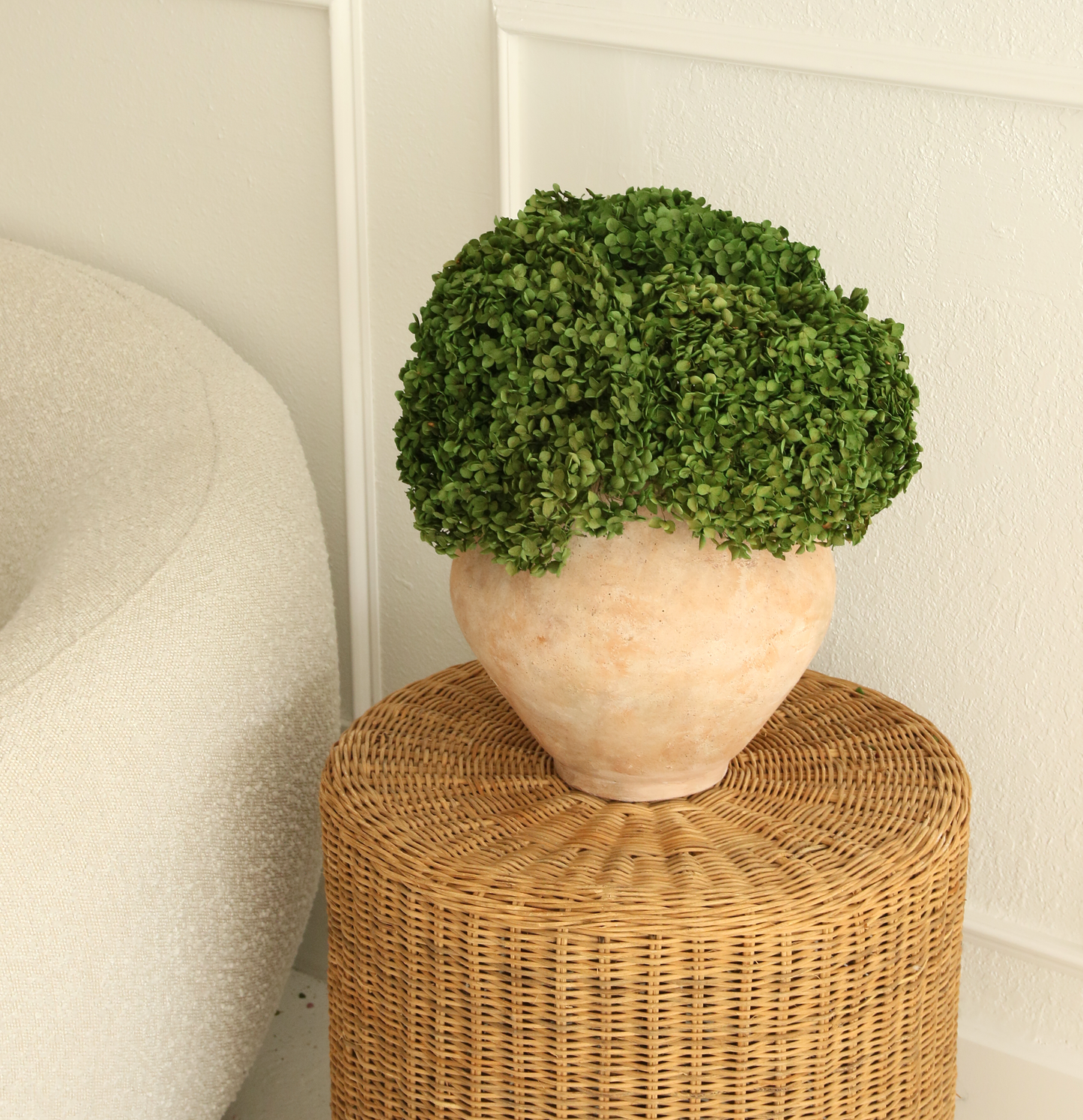 Real Hydrangea Preserved- Medium/Large Emerald Green