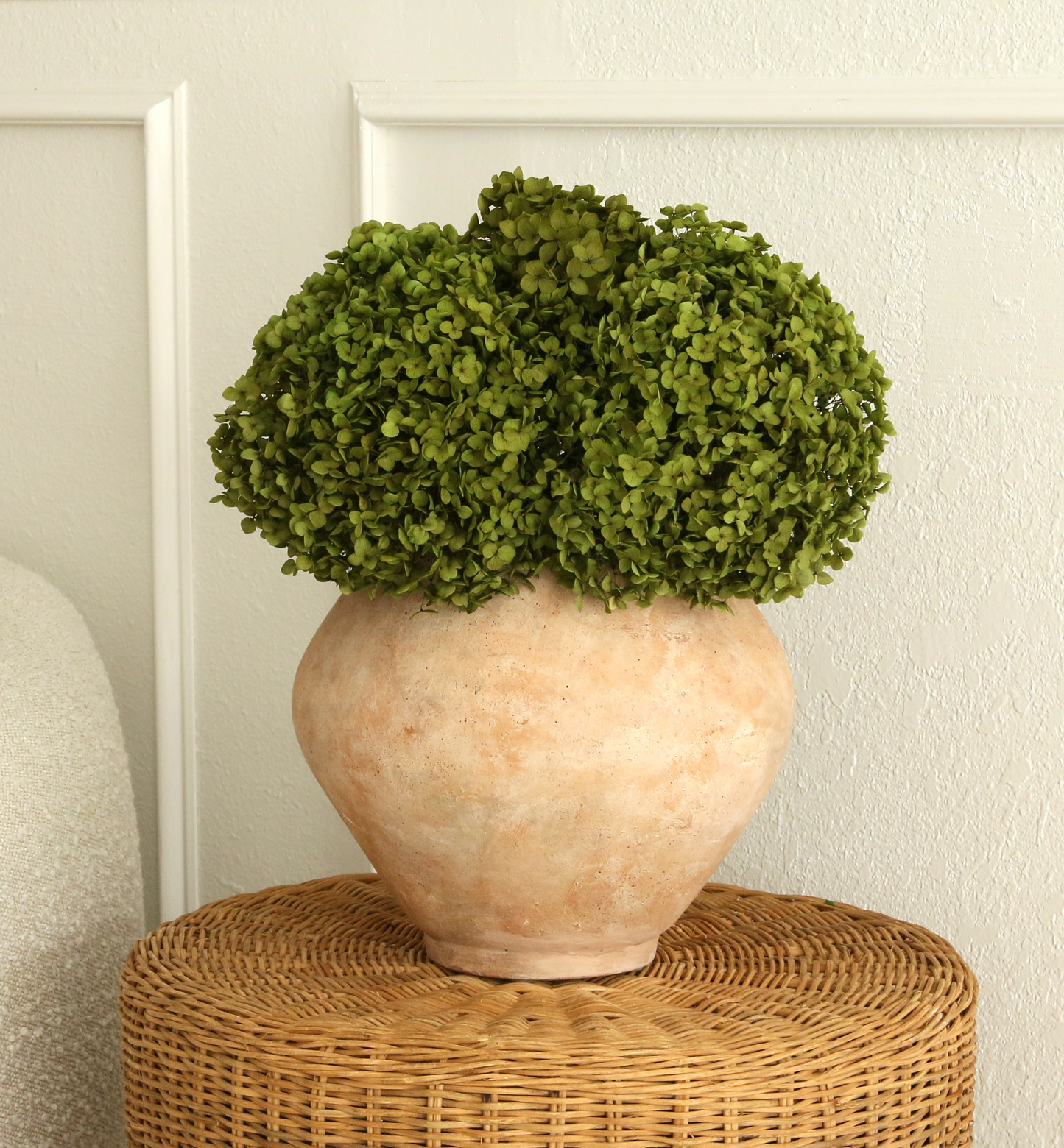 Real Hydrangea Preserved- Medium/Large Green