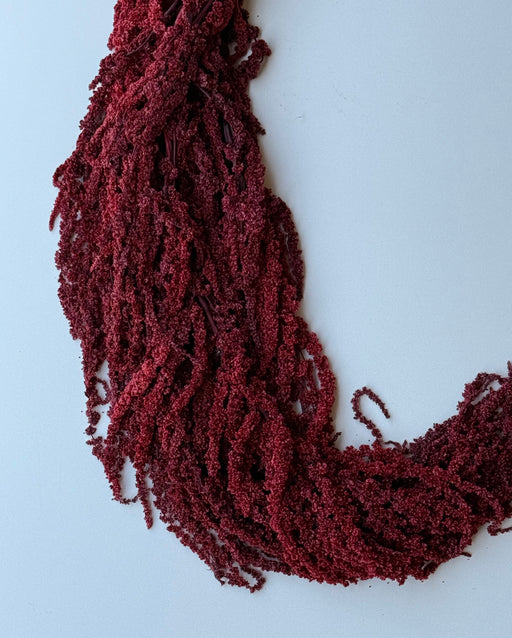 Hanging Amaranthus - Brick Red - alternate