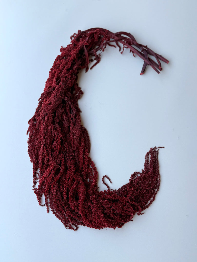 Hanging Amaranthus - Brick Red
