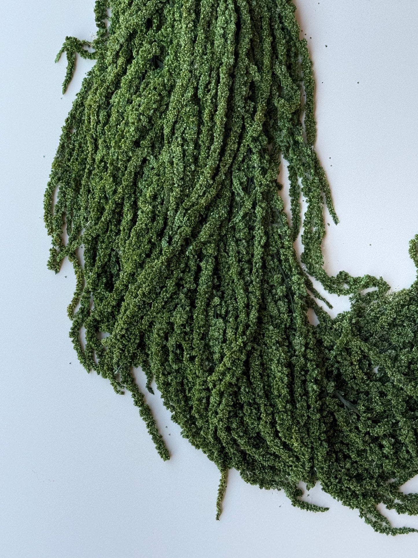 Hanging Amaranthus - Forest Green