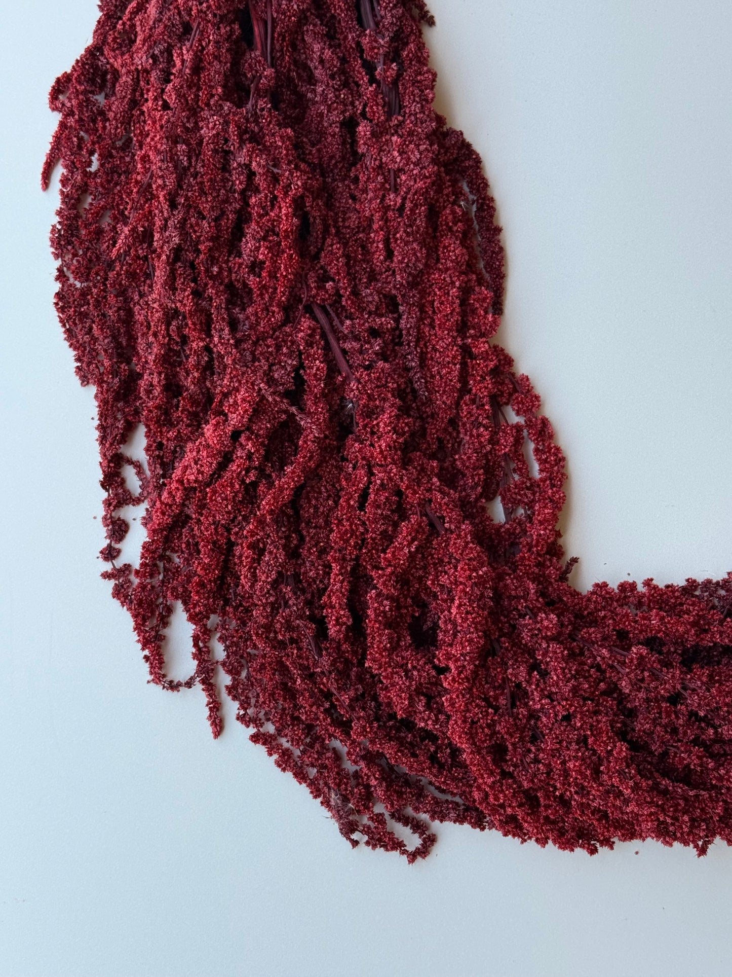 Hanging Amaranthus - Brick Red