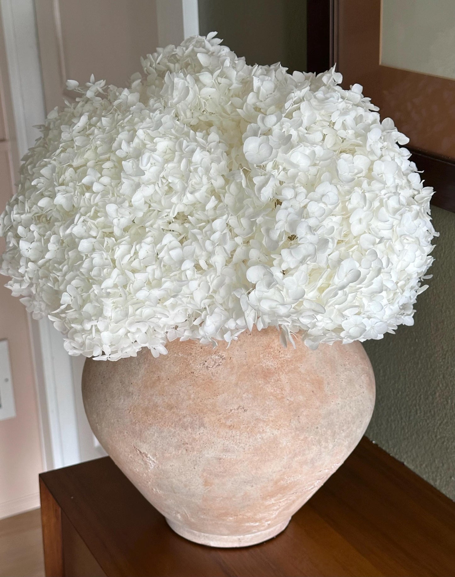 Real Hydrangea Preserved - Large White/Soft White