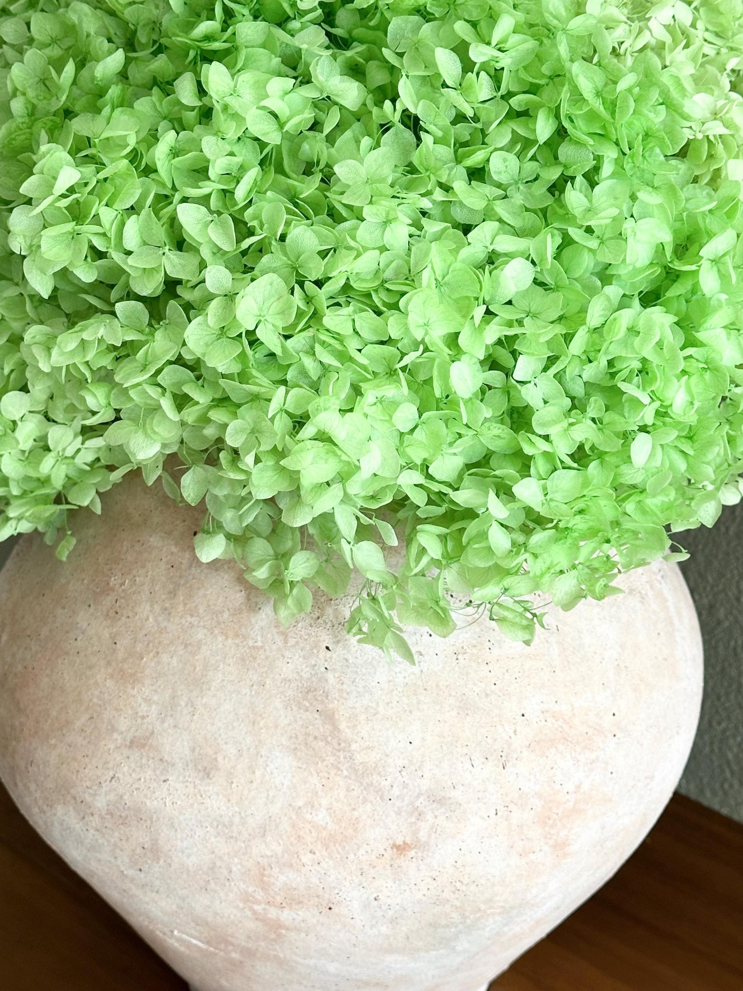 Real Hydrangea Preserved - Large Green