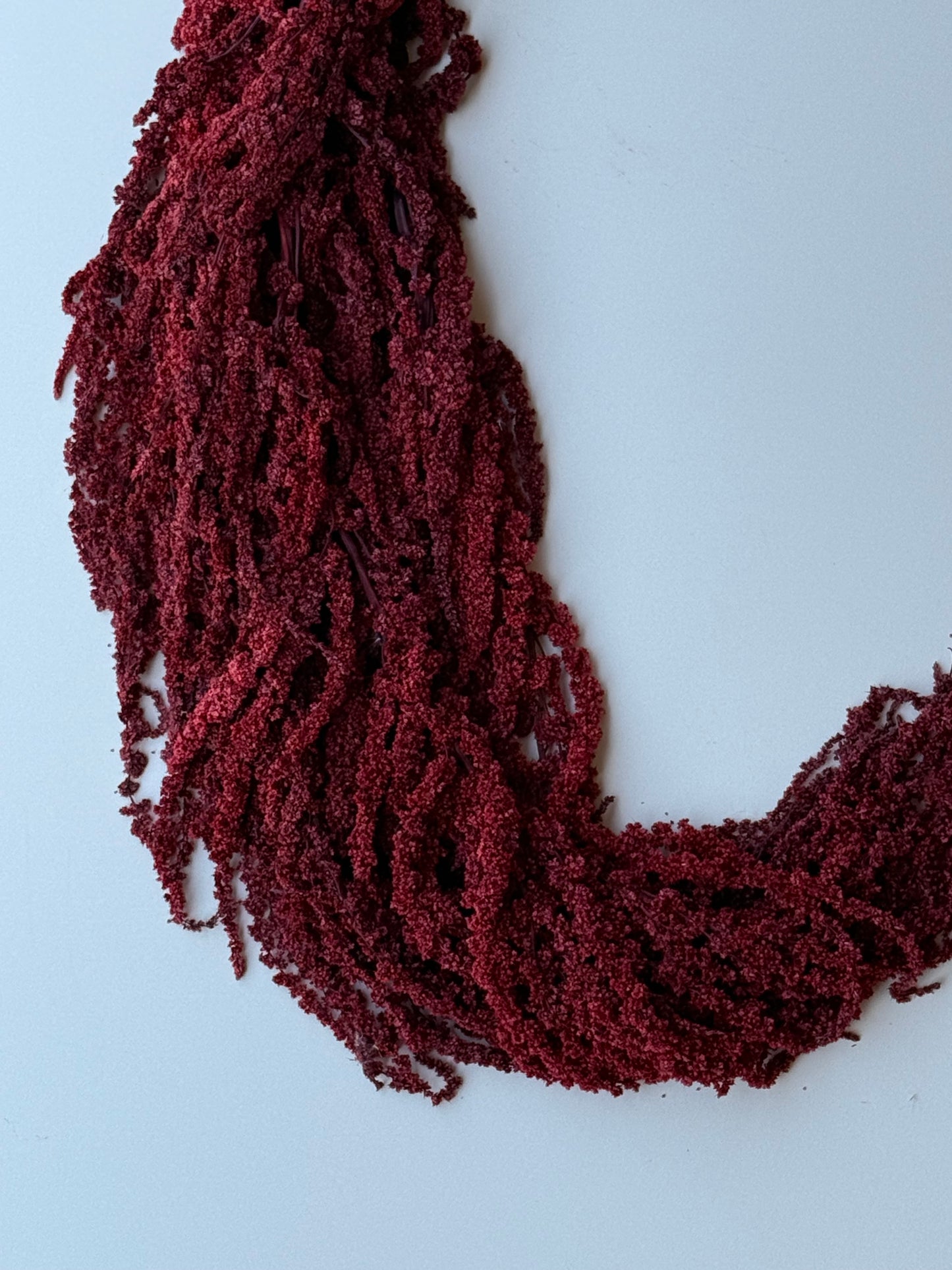 Hanging Amaranthus - Brick Red