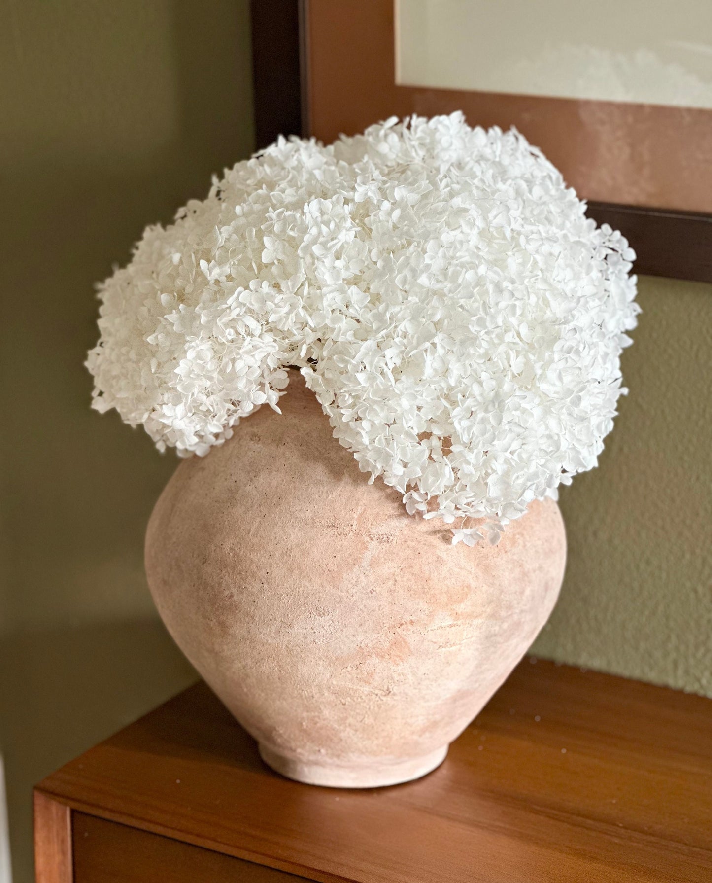 Real Hydrangea Preserved - Large White/Soft White
