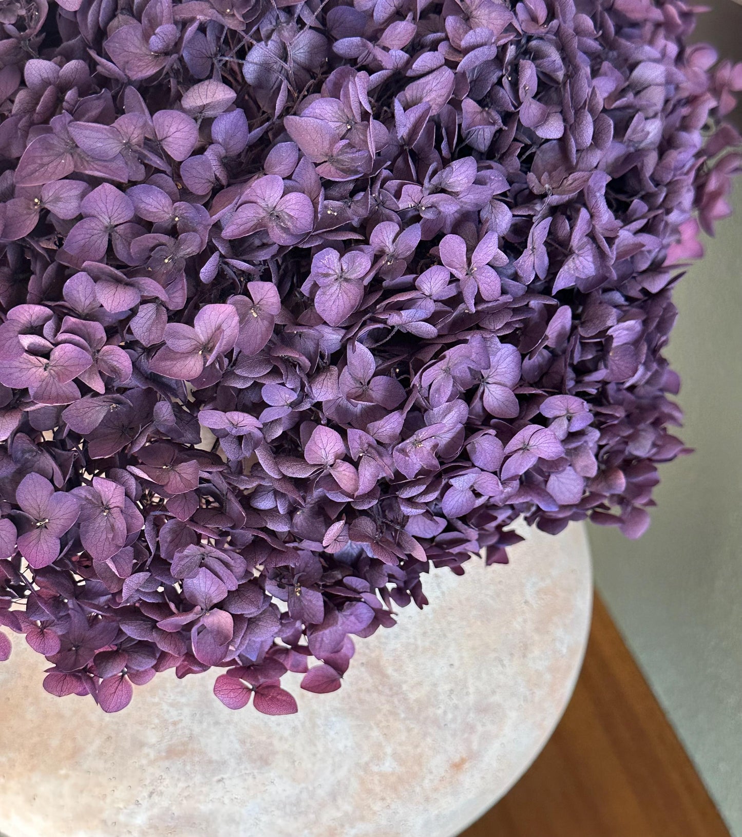 Real Hydrangea Preserved - Large Purple Plum