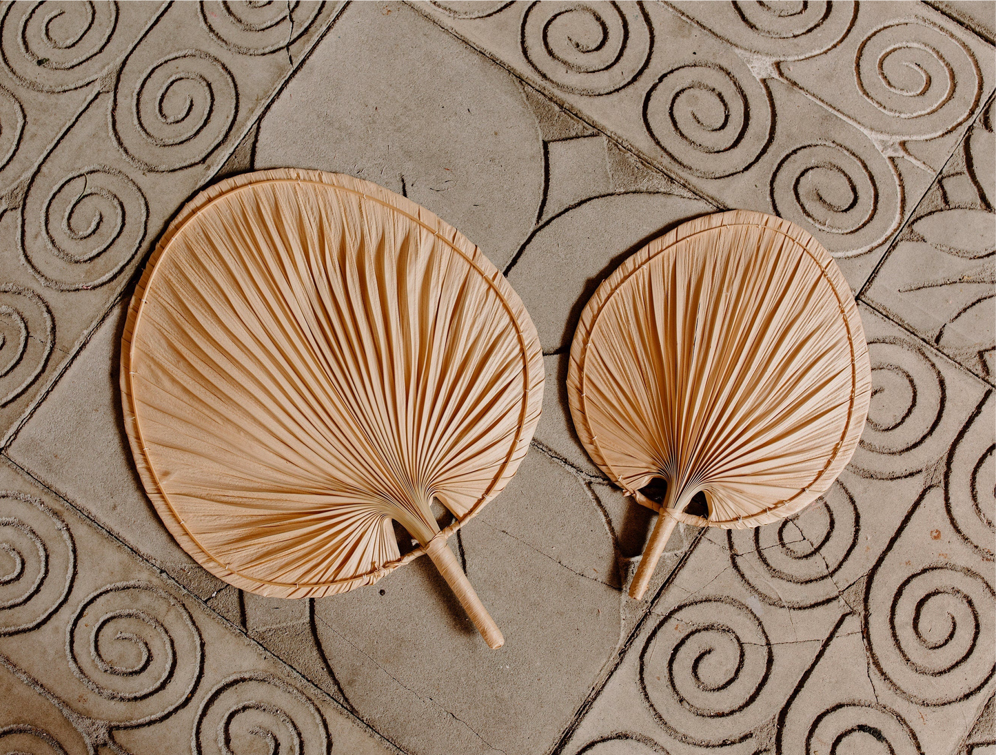 Decorative Palms