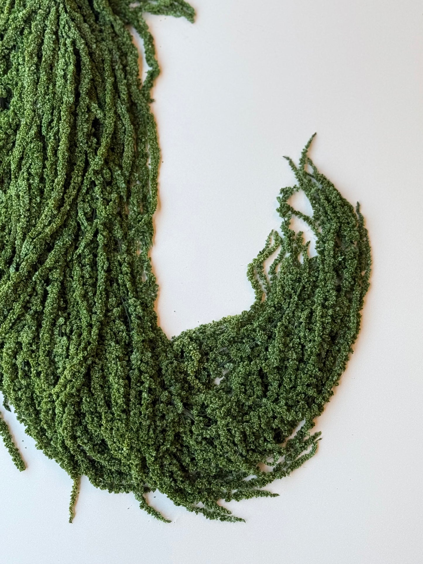Hanging Amaranthus - Forest Green