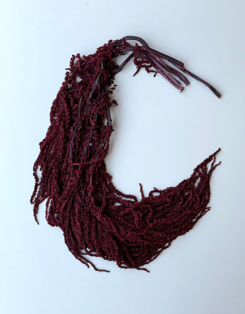 Hanging Amaranthus - Burgundy Wine