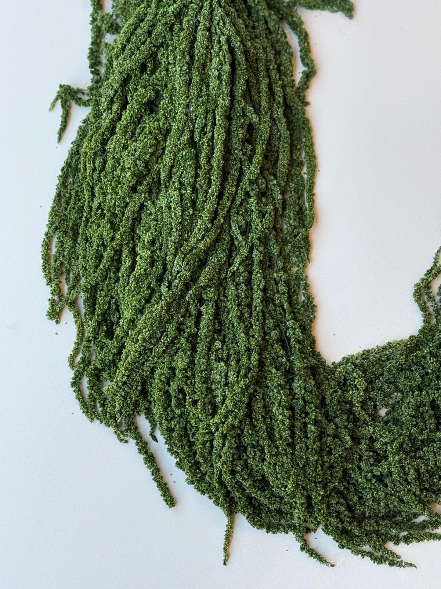 Hanging Amaranthus - Forest Green