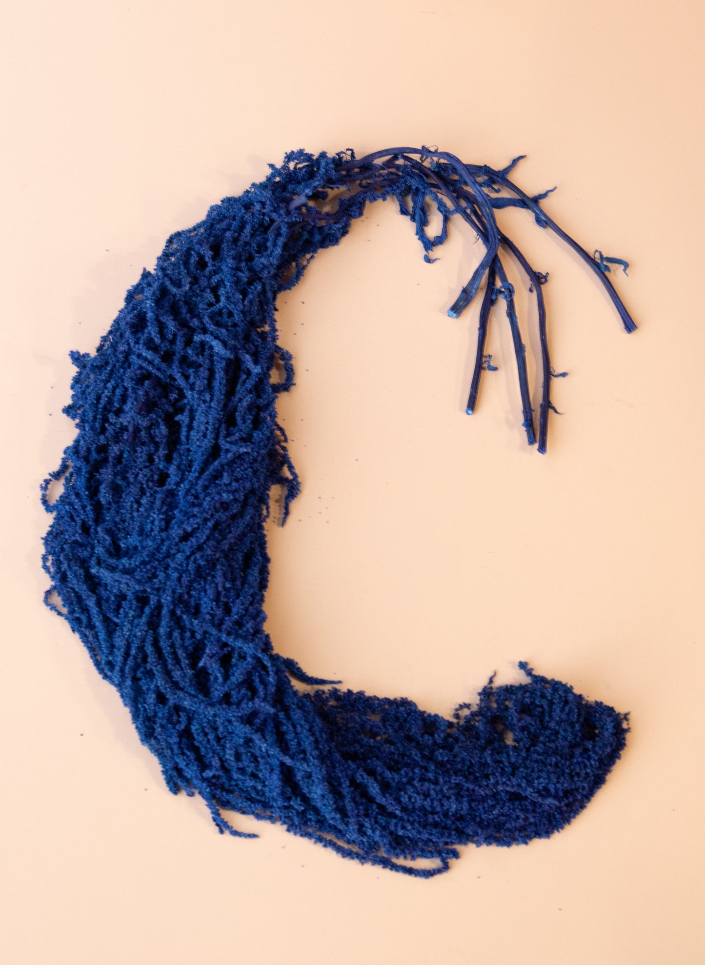Hanging Amaranthus - Cobalt Blue
