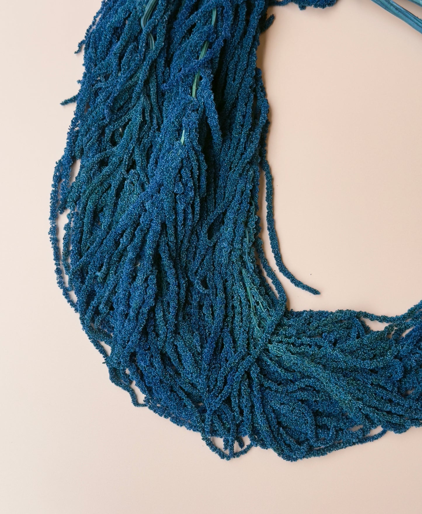 Hanging Amaranthus - Blue