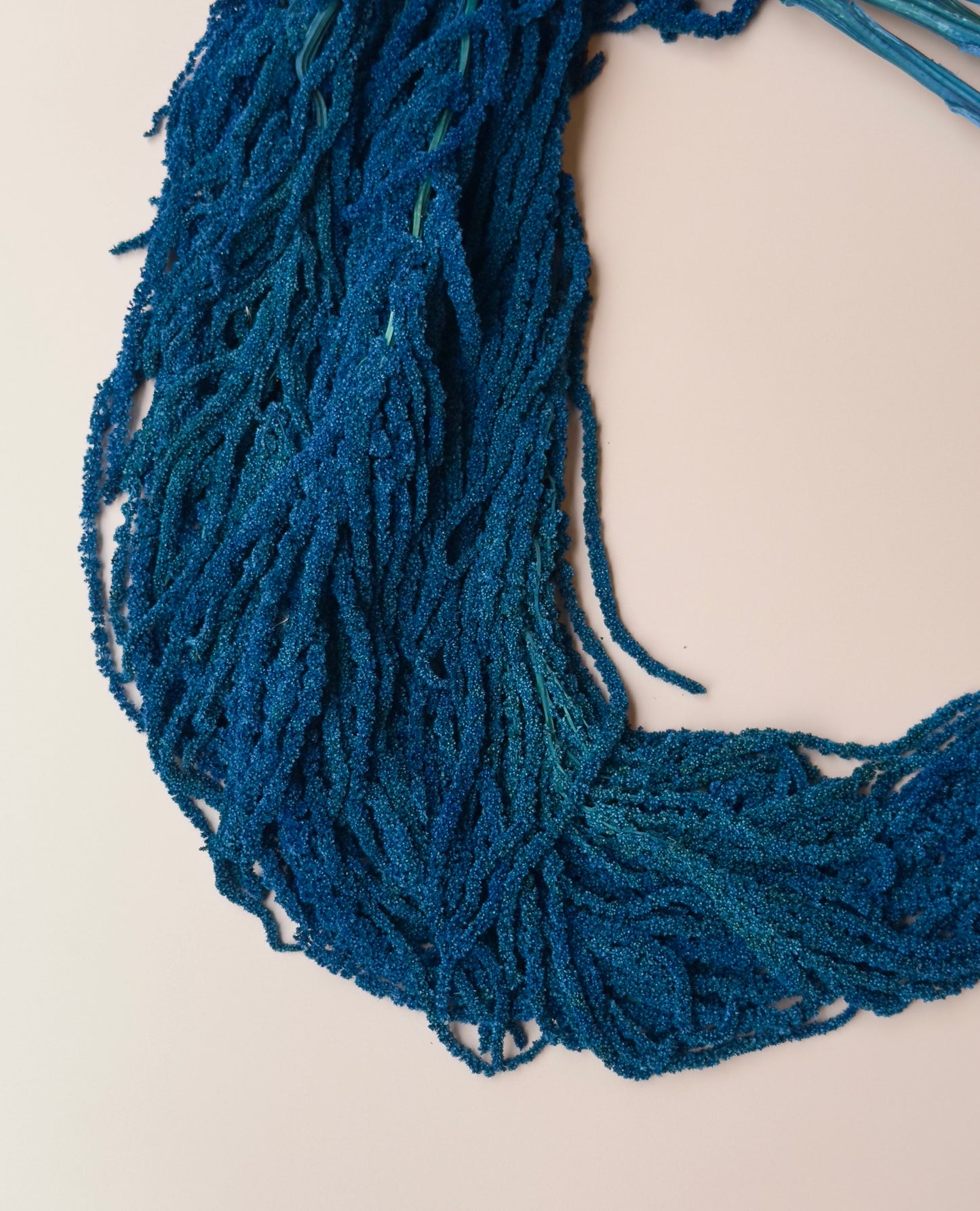 Hanging Amaranthus - Blue