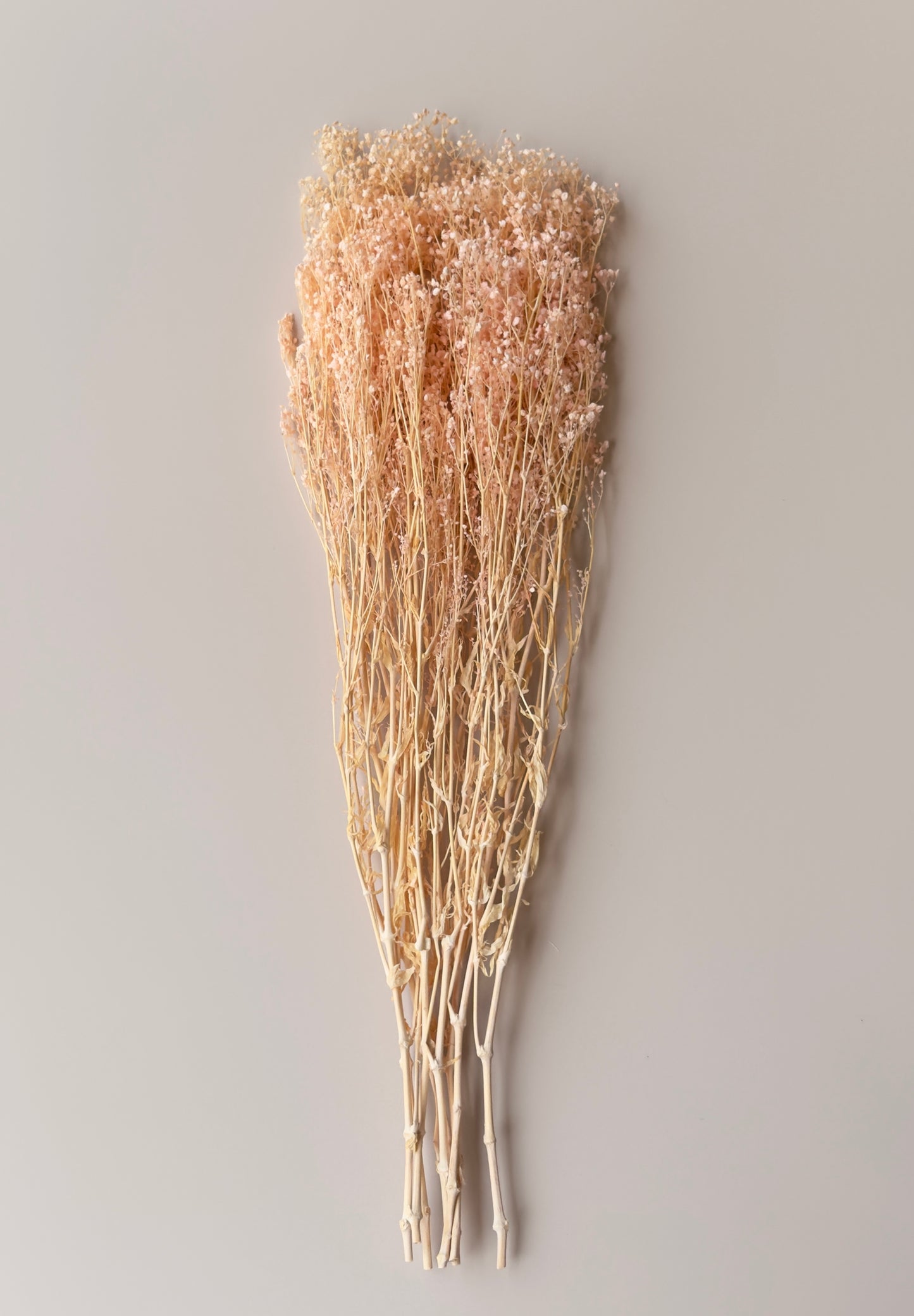 Light Pink Preserved Baby's Breath