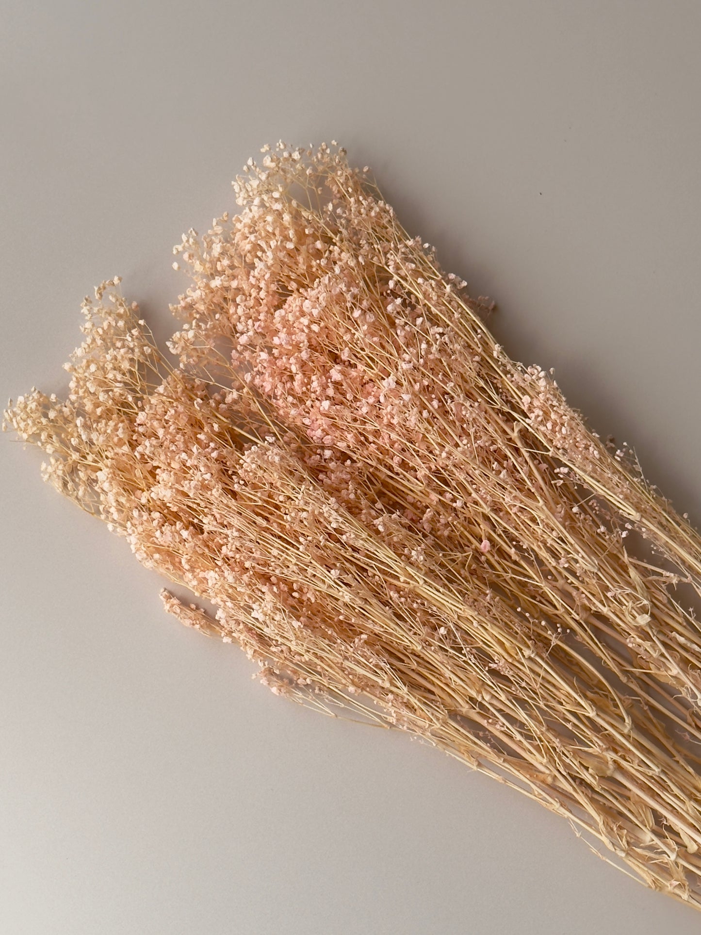 Light Pink Preserved Baby's Breath
