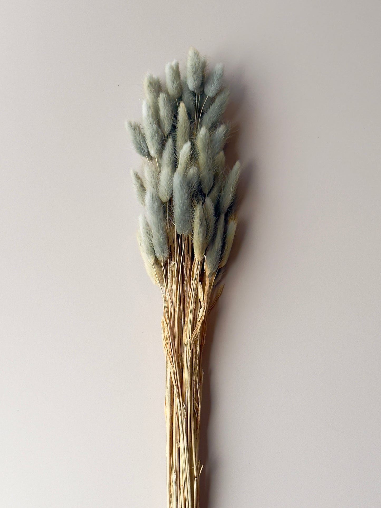 Bunny Tails - Dusty Teal/Blue