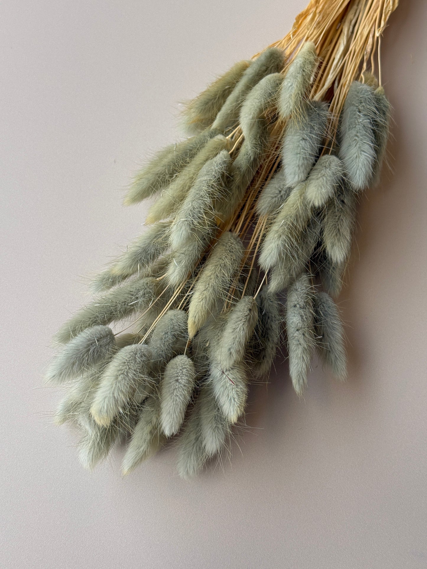 Bunny Tails - Dusty Teal/Blue