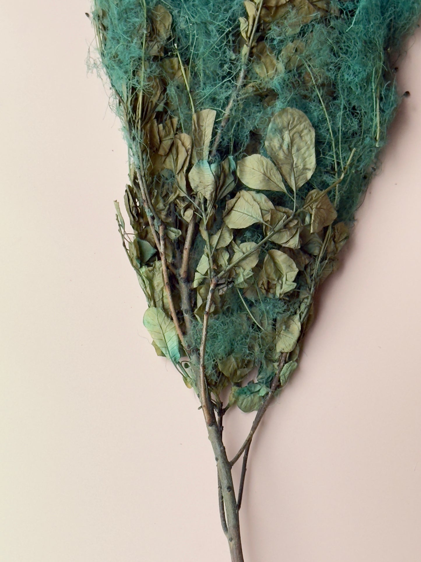 Preserved Smoke Bush - Teal