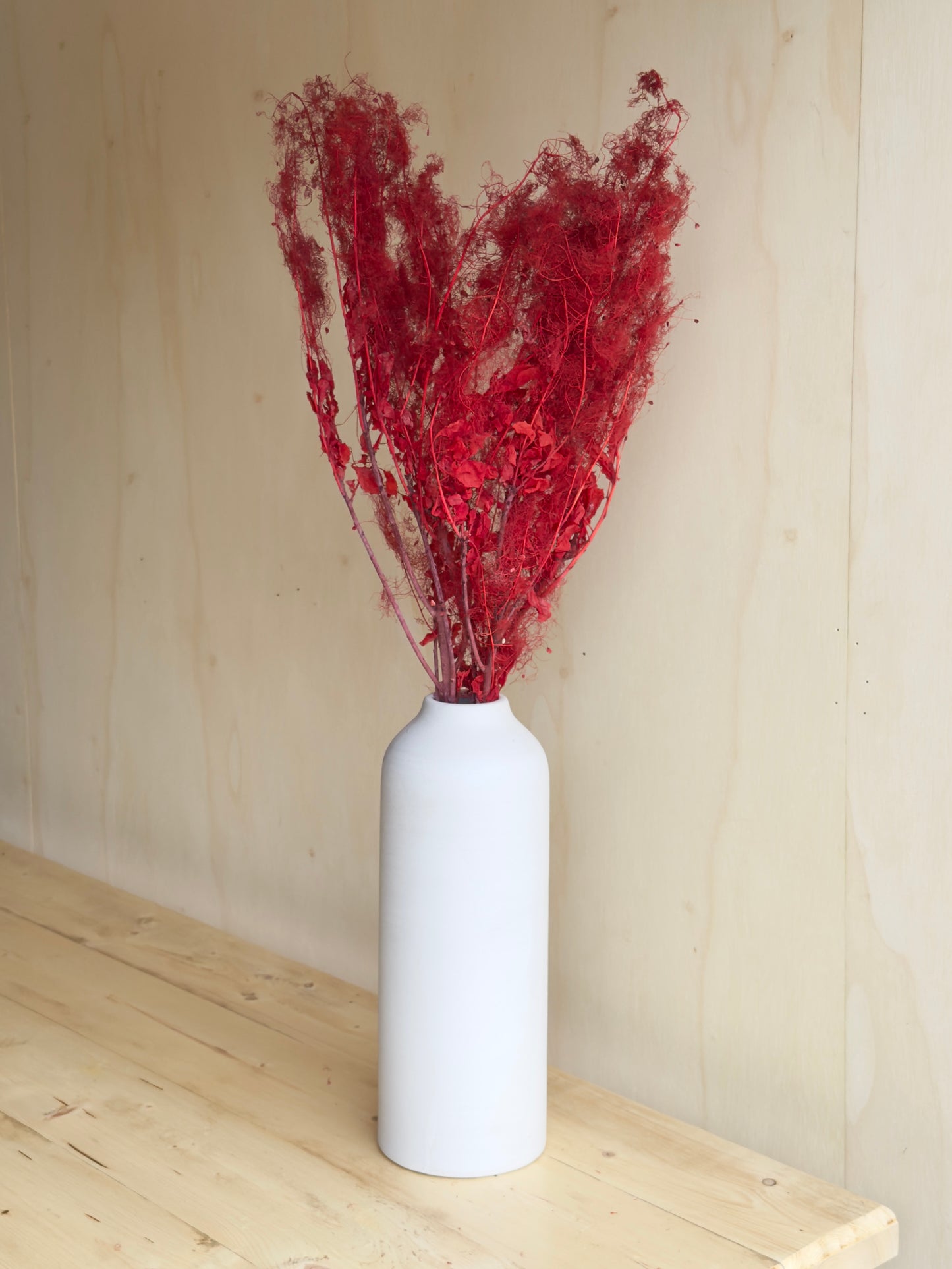Preserved Smoke Bush - Red