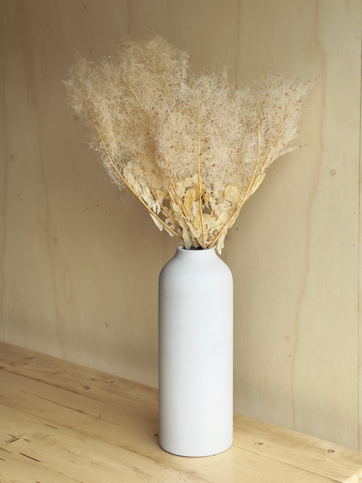 Preserved Smoke Bush - Antique Ivory