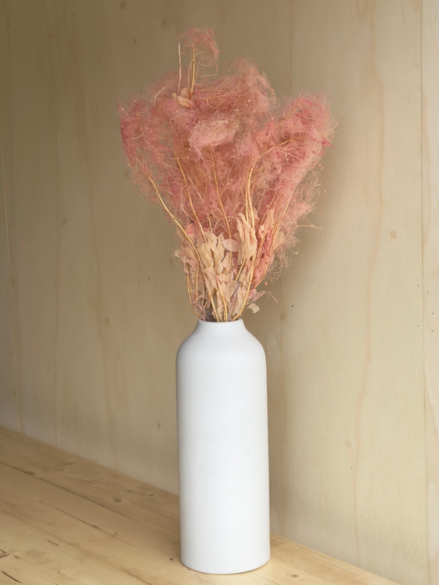 Preserved Smoke Bush - Pink