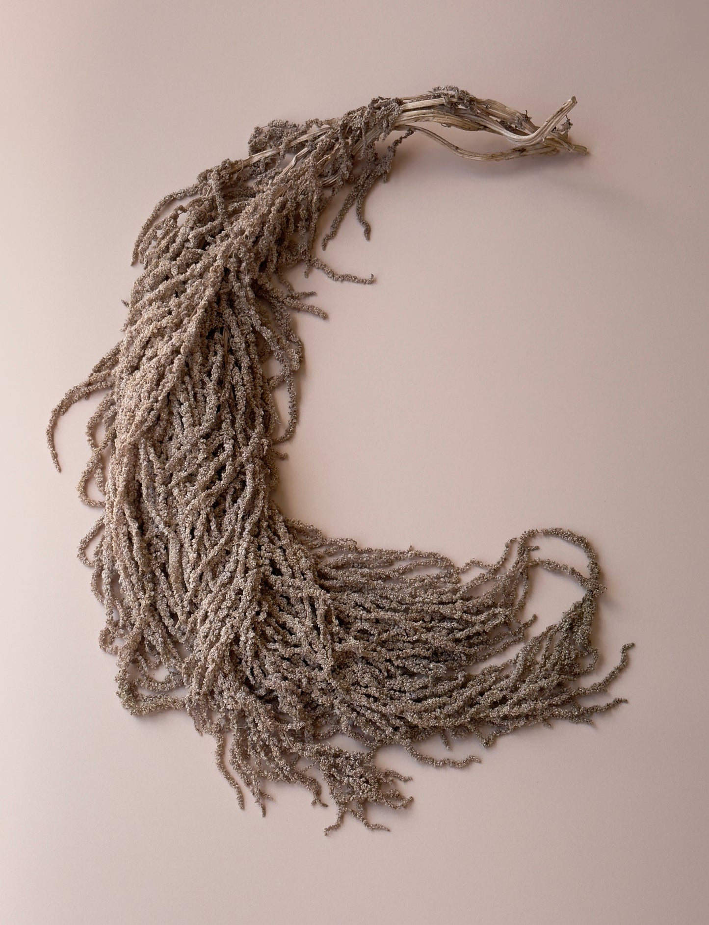 Hanging Amaranthus - Light/Medium Brown