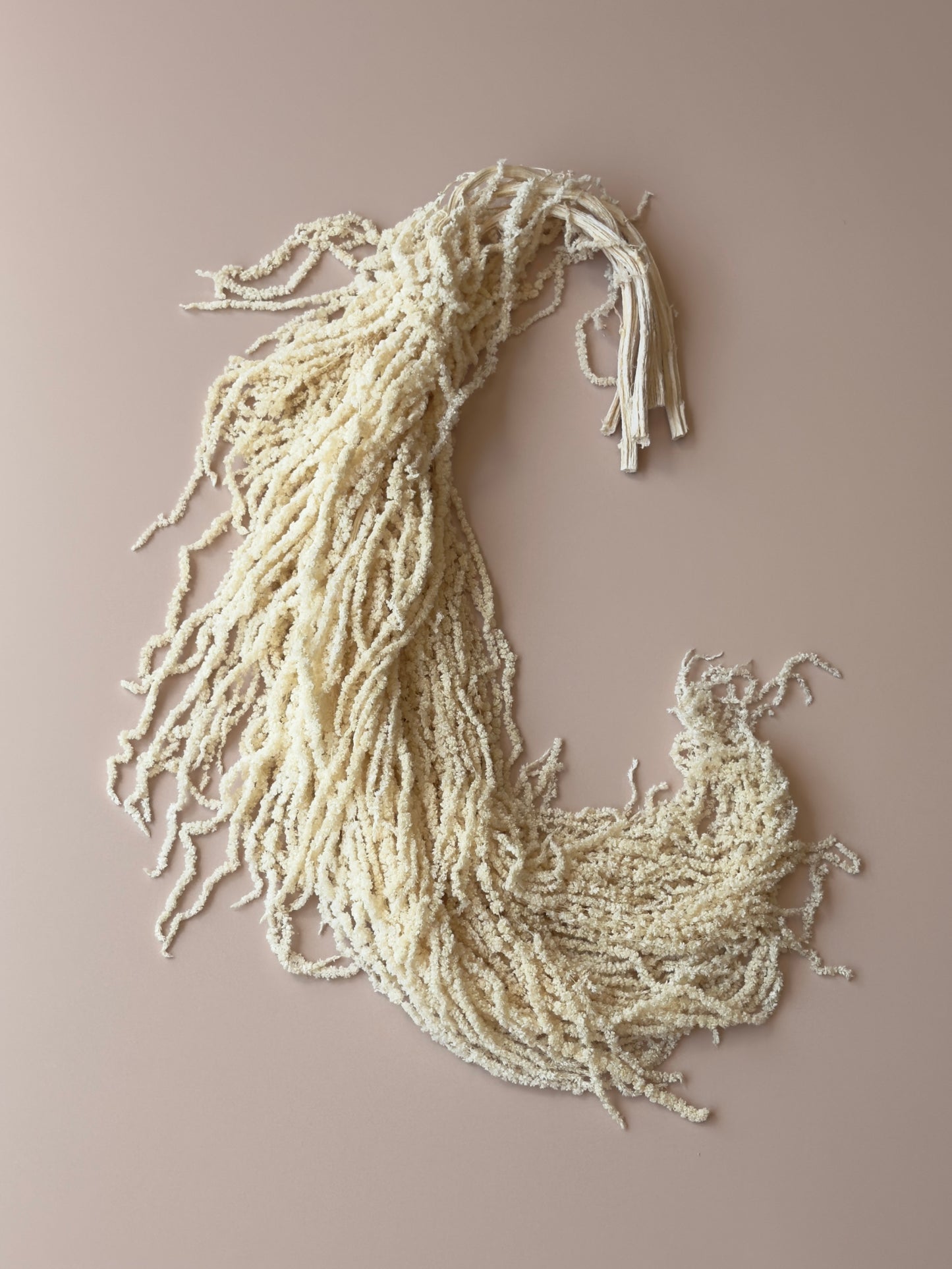 Hanging Amaranthus - Soft White/Ivory