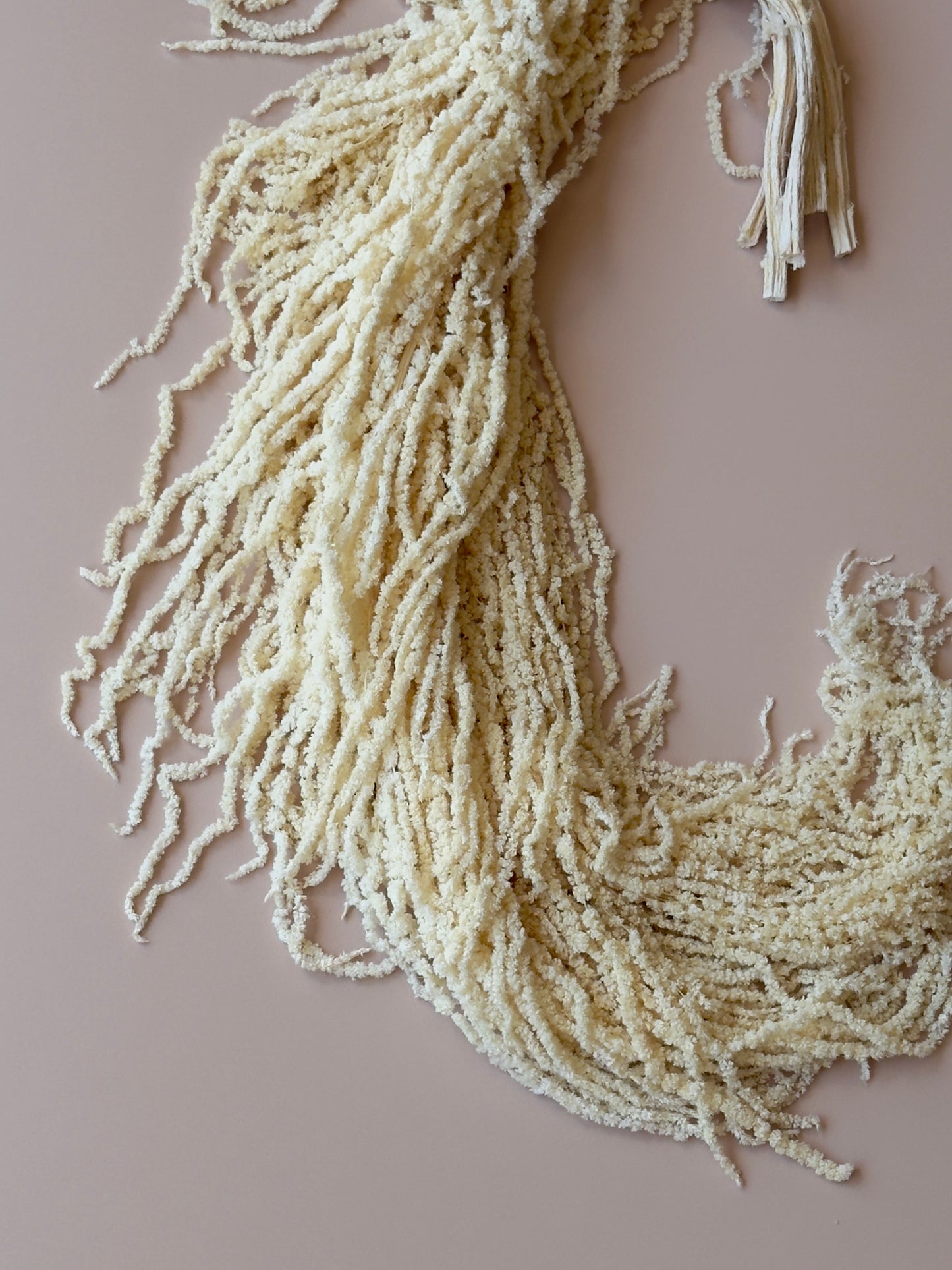Hanging Amaranthus - Soft White/Ivory