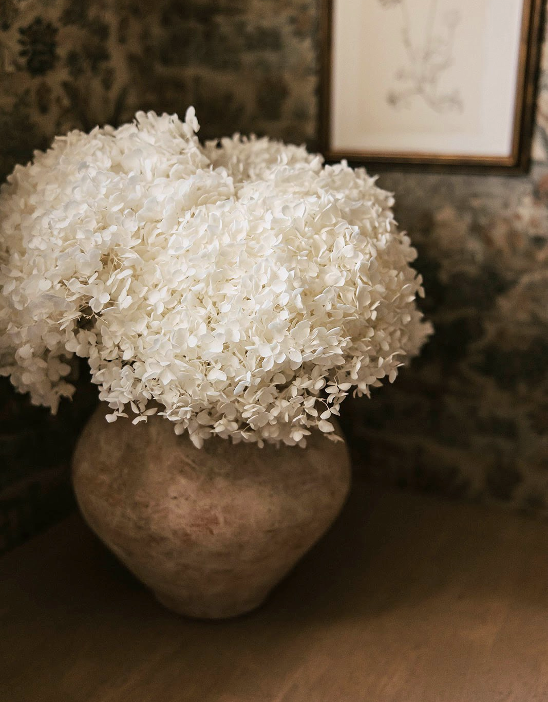 Real Hydrangea Preserved - Large White/Soft White