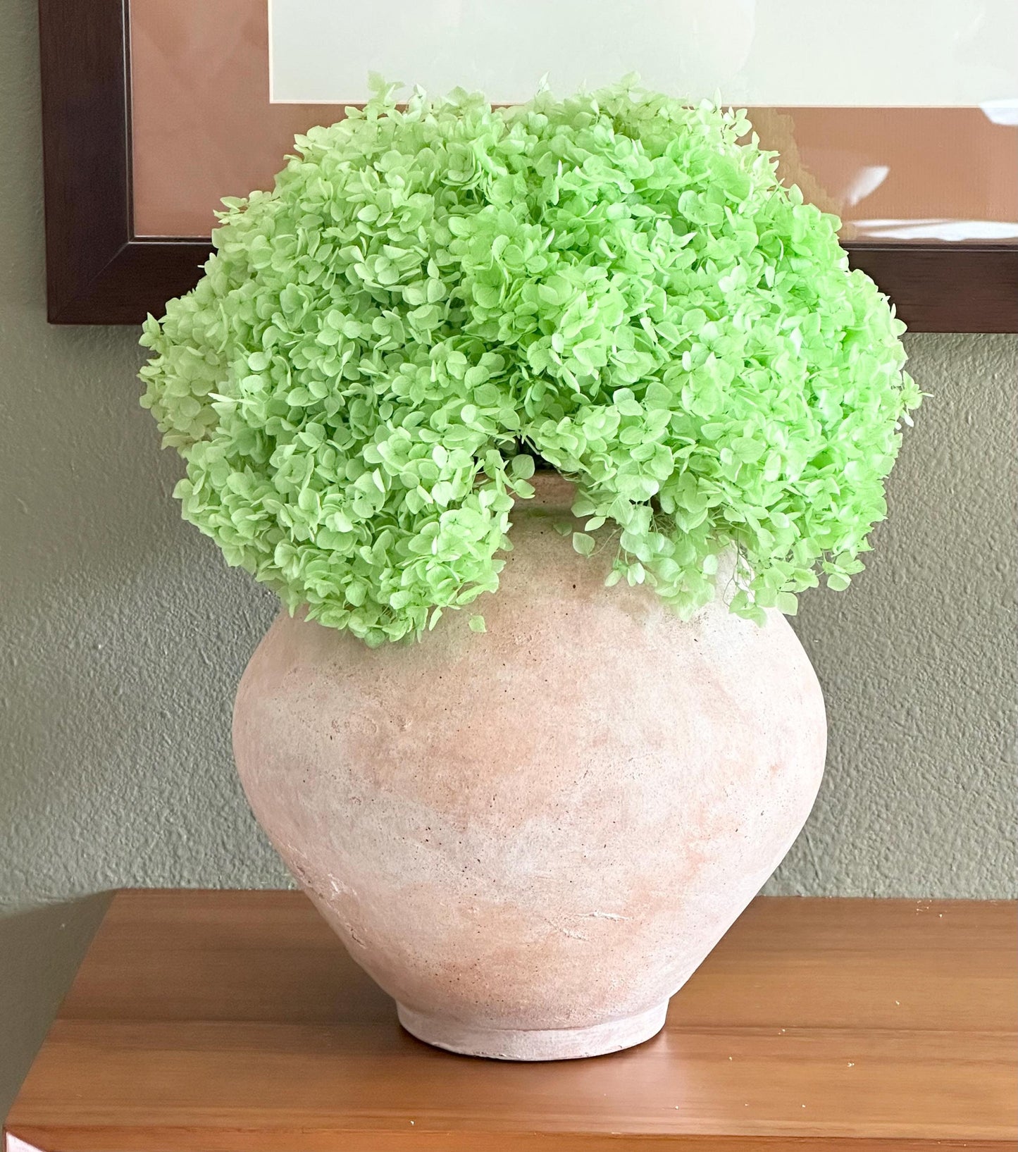 Real Hydrangea Preserved - Large Green