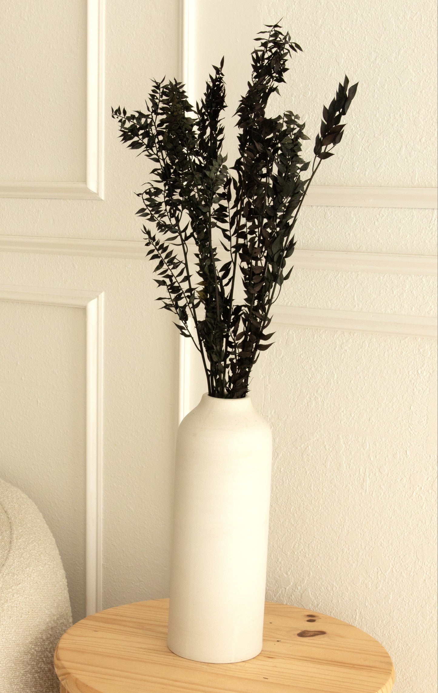 Halloween Ombre Black Ruscus - Dried and Preserved