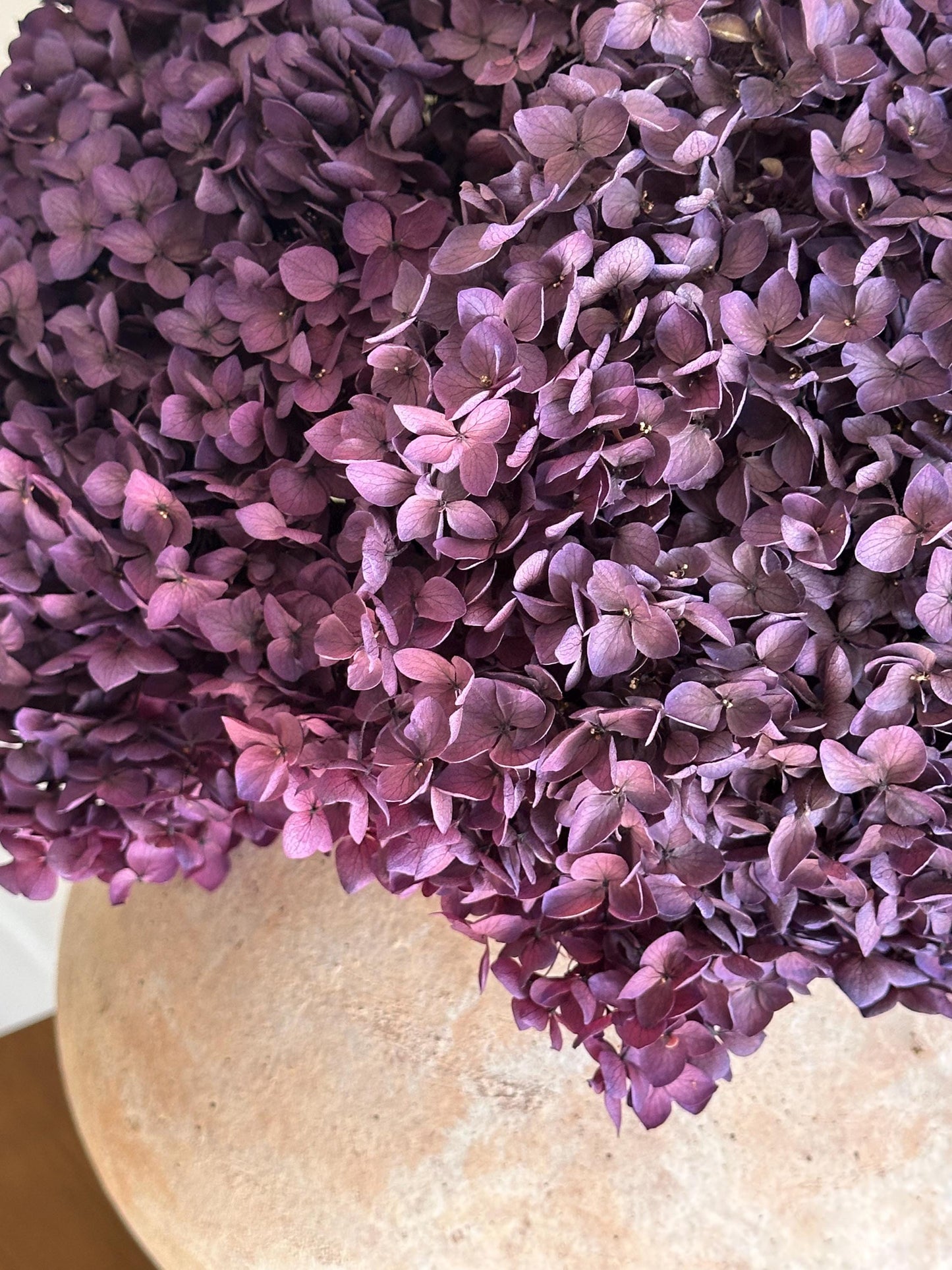Real Hydrangea Preserved - Large Purple Plum