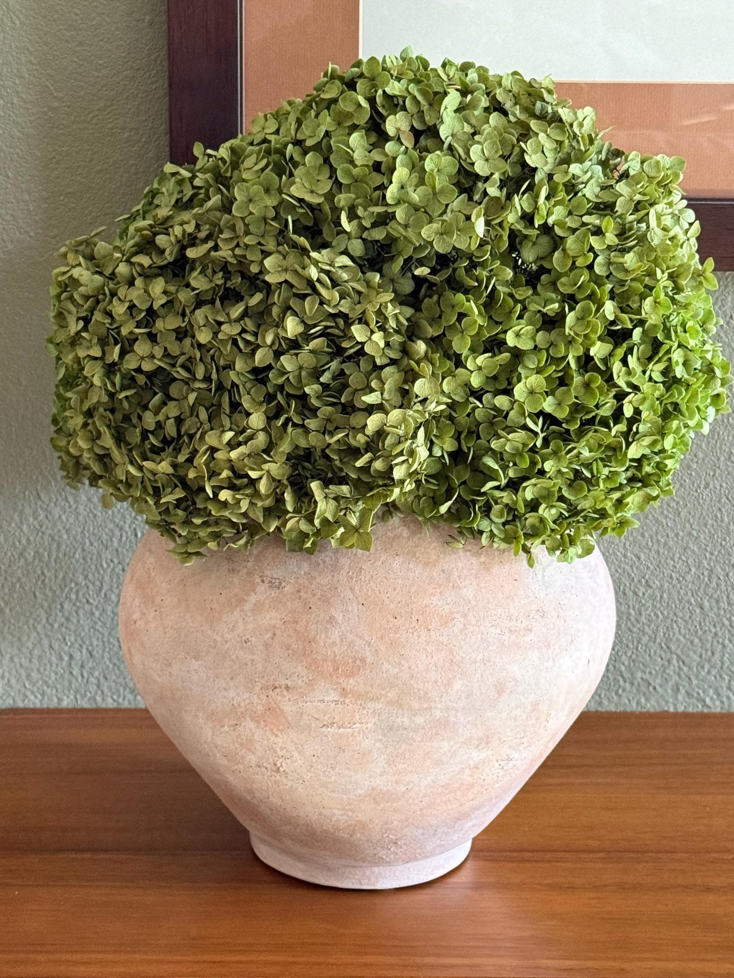 Real Hydrangea Preserved- Medium/Large Green