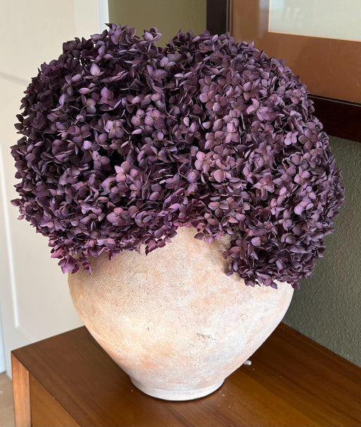 Real Hydrangea Preserved - Large Purple Plum - alternate