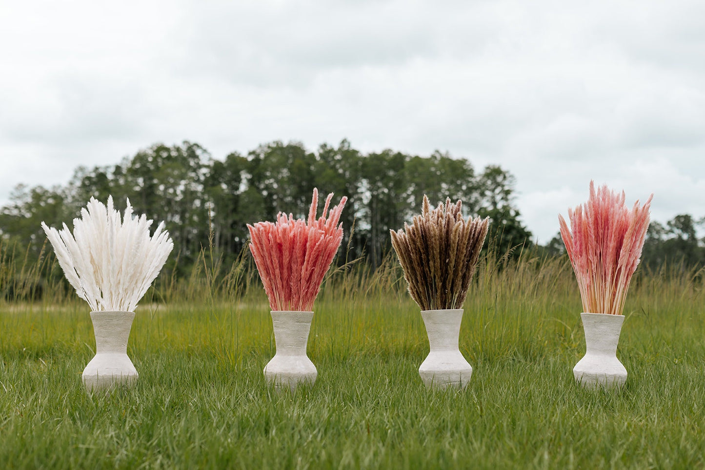 Thin 2FT Natural Brown Pampas Grass